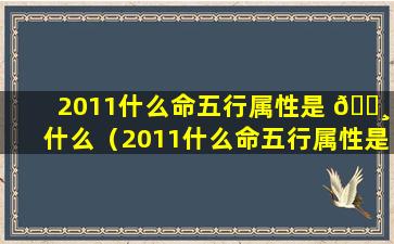 2011什么命五行属性是 🕸 什么（2011什么命五行属性是 🦉 什么意思）